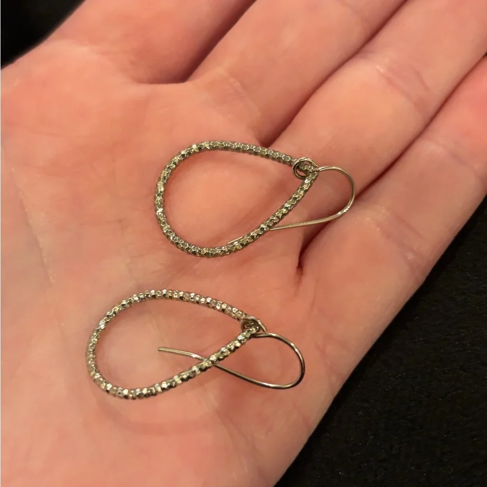 Francesca’s Collection Silver Sparkle Teardrop Earrings
